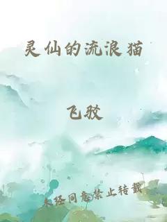 靈仙的流浪貓
