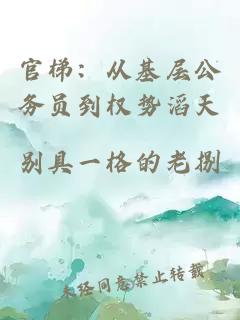 官梯:從基層公務員到權(quán)勢滔天